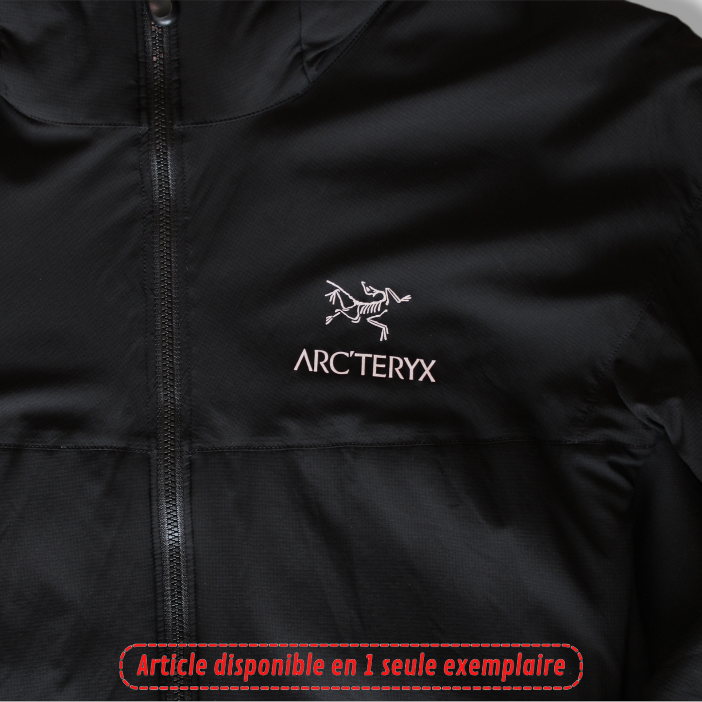 Veste Arcteryx -L