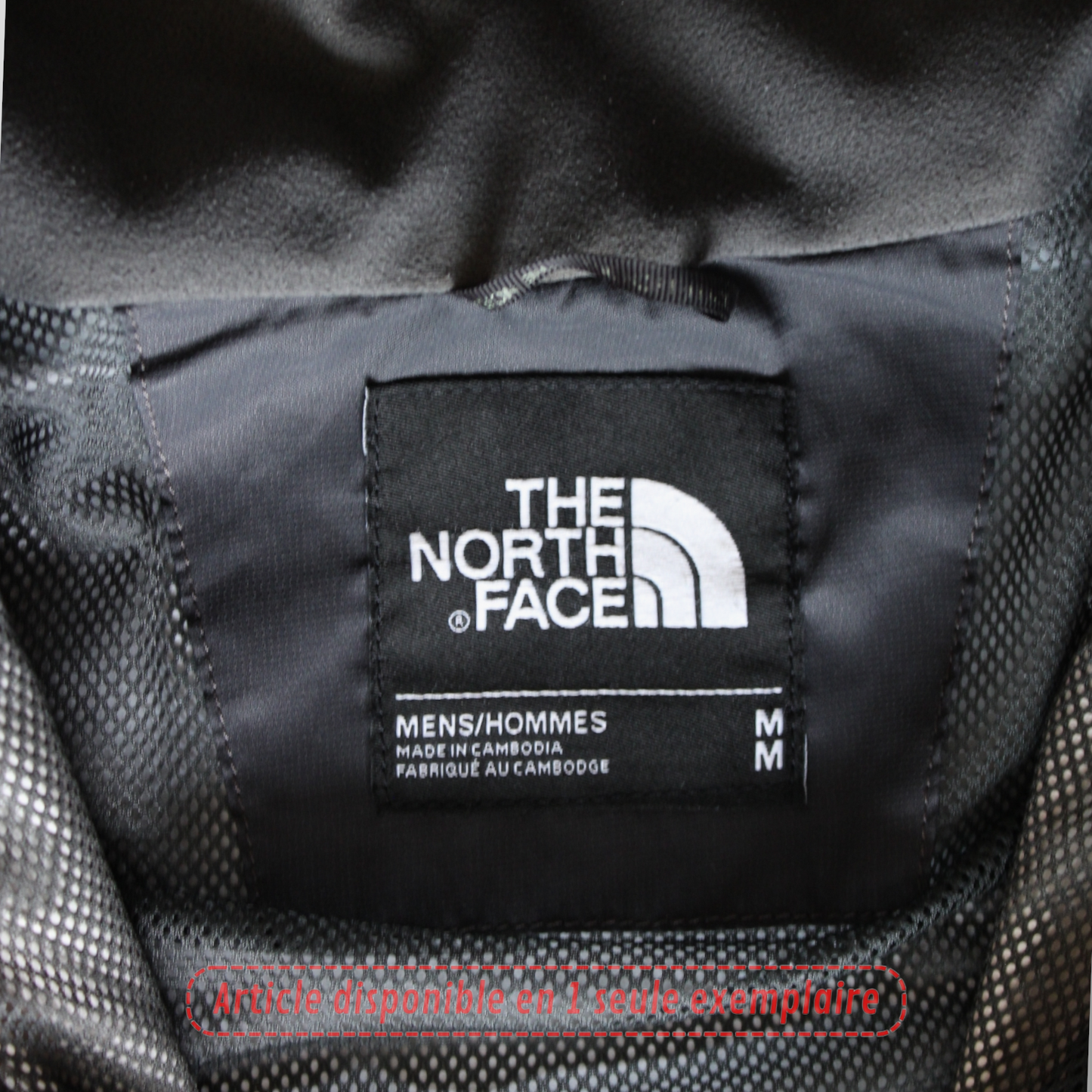 Veste The North Face étanche Gorpcore