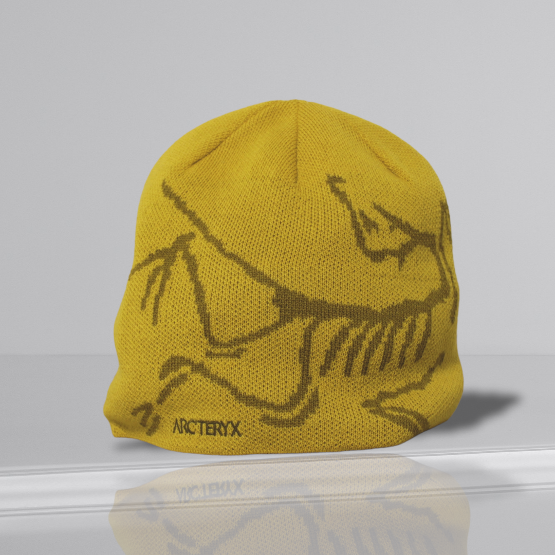 Bonnet Arc'teryx jaune