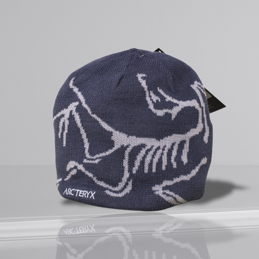 Bonnet Arc'teryx bleu