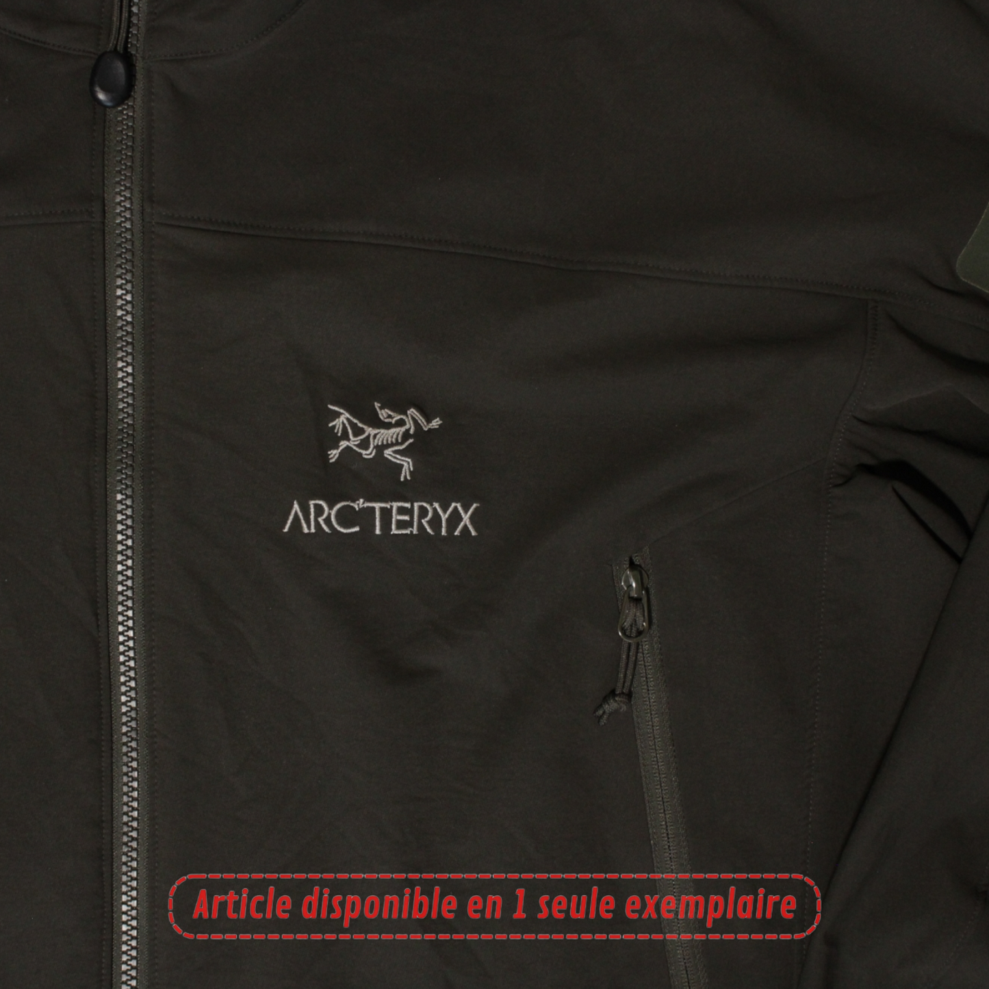 Veste Arc'teryx shell Marron