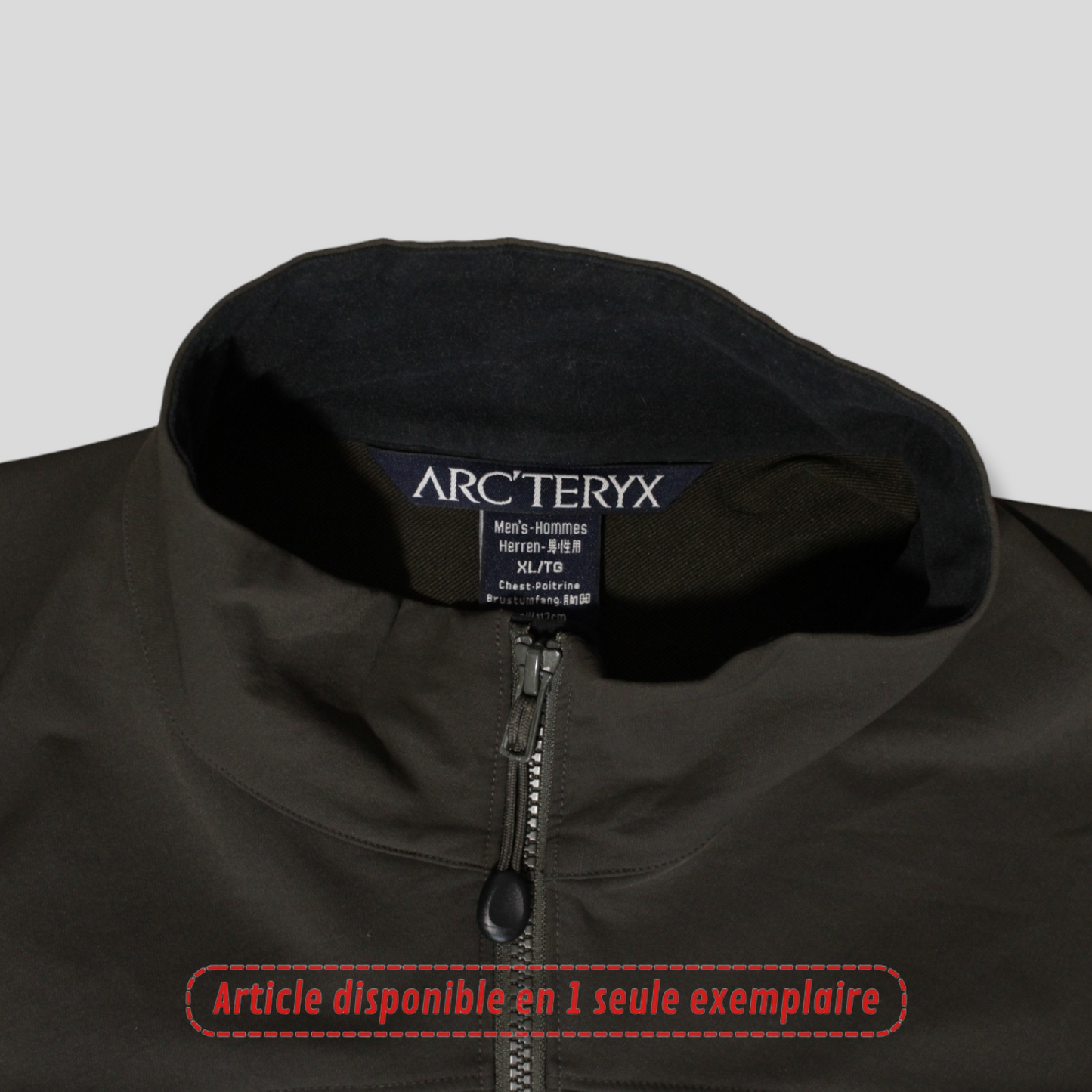 Veste Arc'teryx shell Marron