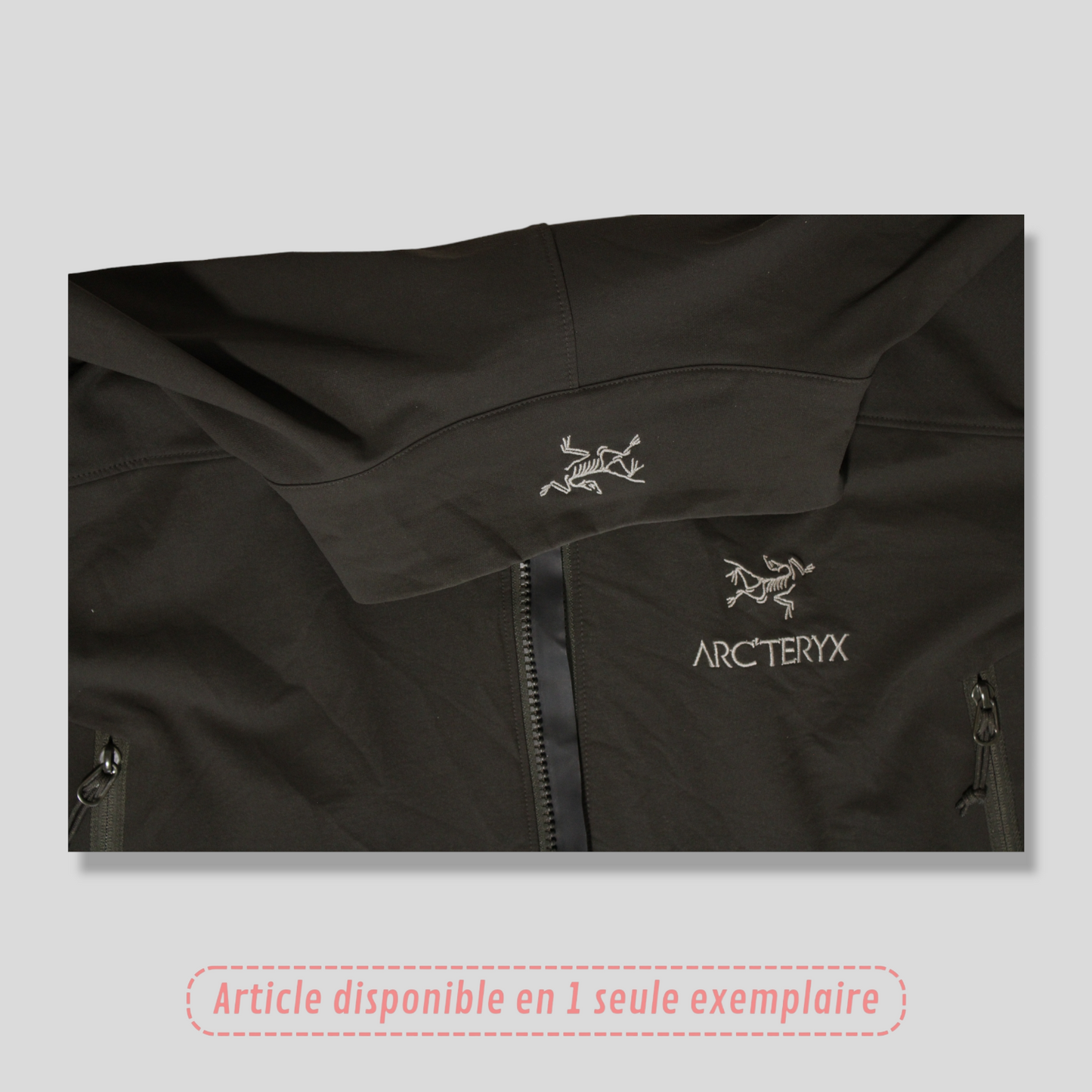 Veste Arc'teryx shell Marron